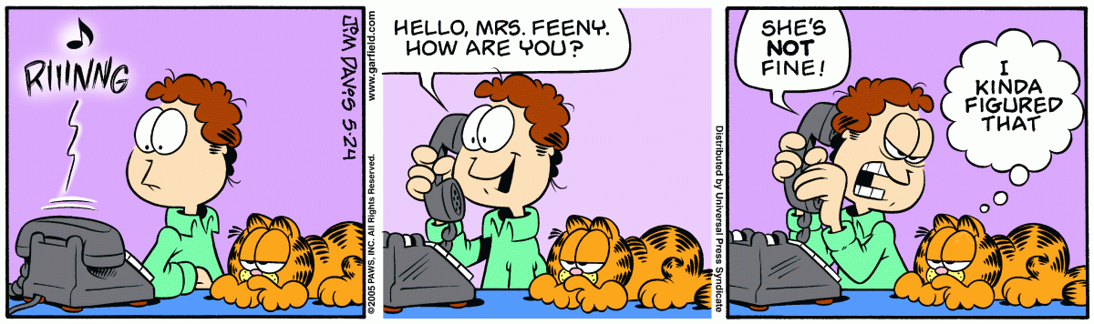 Garfield, May 24, 2005
