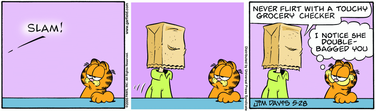 Garfield, May 28, 2005