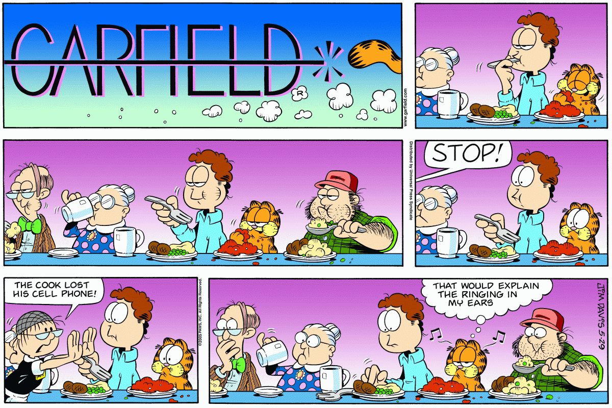 Garfield, May 29, 2005