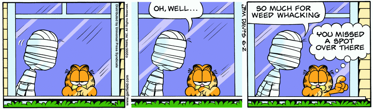 Garfield, June 2, 2005