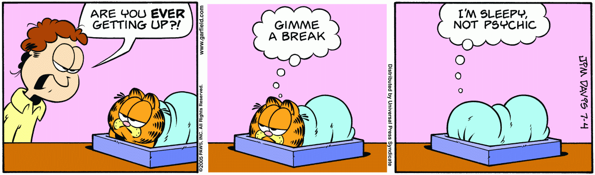 Garfield, July 4, 2005