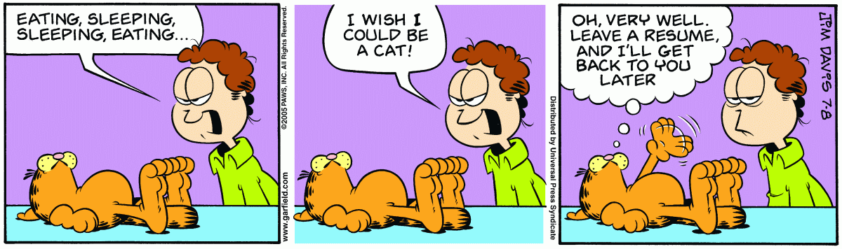 Garfield, July 8, 2005