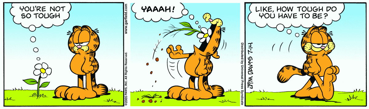 Garfield, July 14, 2005