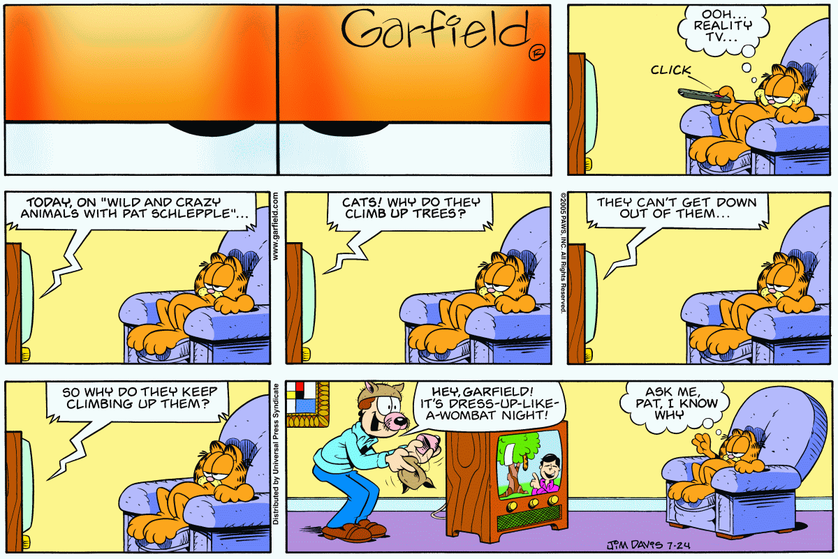 Garfield, July 24, 2005