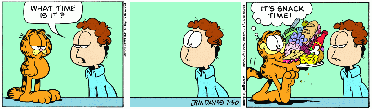 Garfield, July 30, 2005