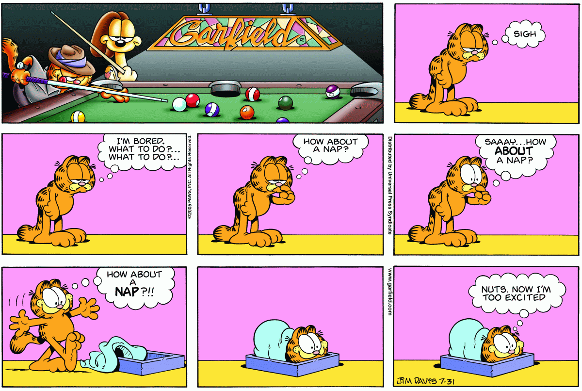 Garfield, July 31, 2005