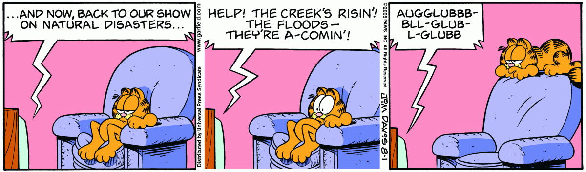 Garfield, August 1, 2005