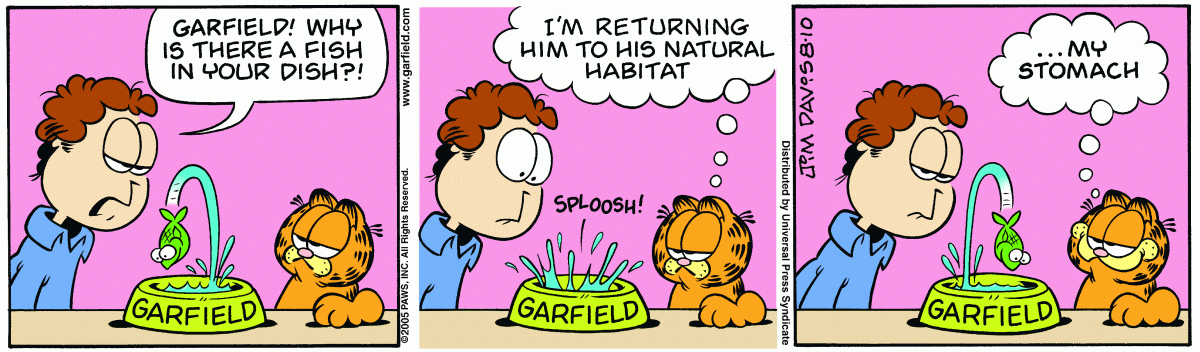 Garfield, August 10, 2005