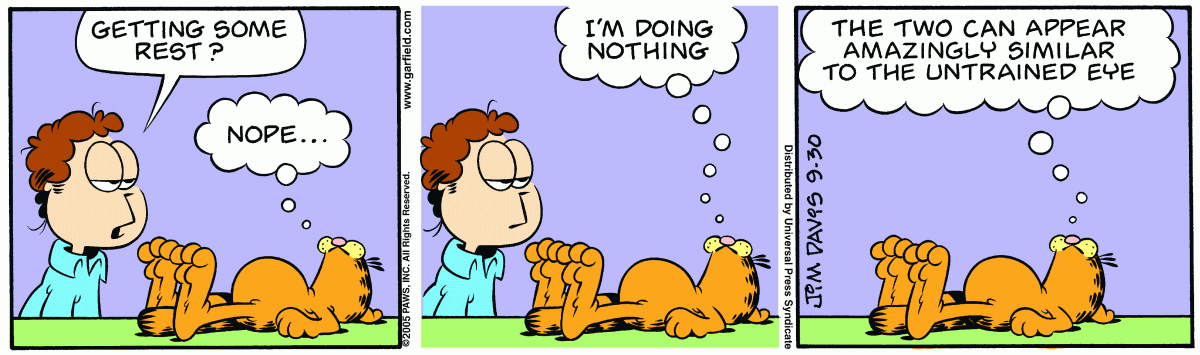 Garfield, September 30, 2005