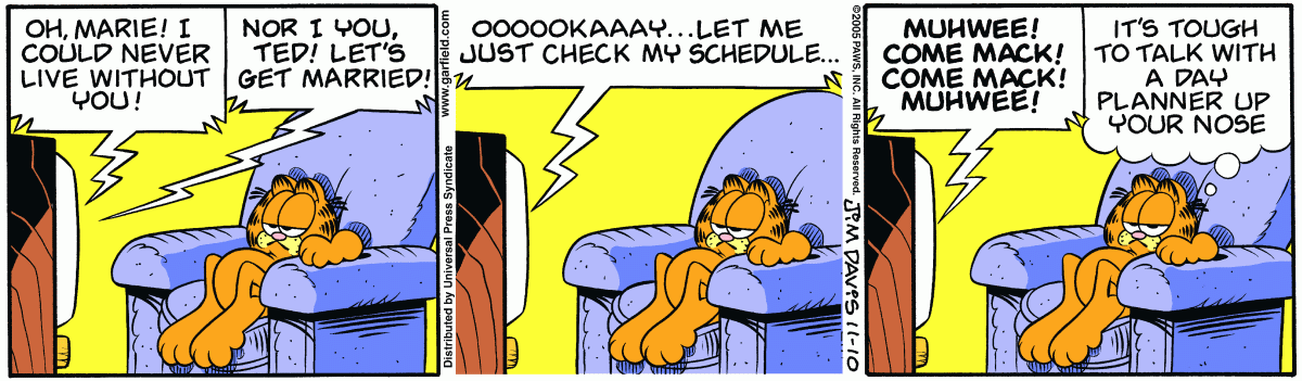 Garfield, November 10, 2005