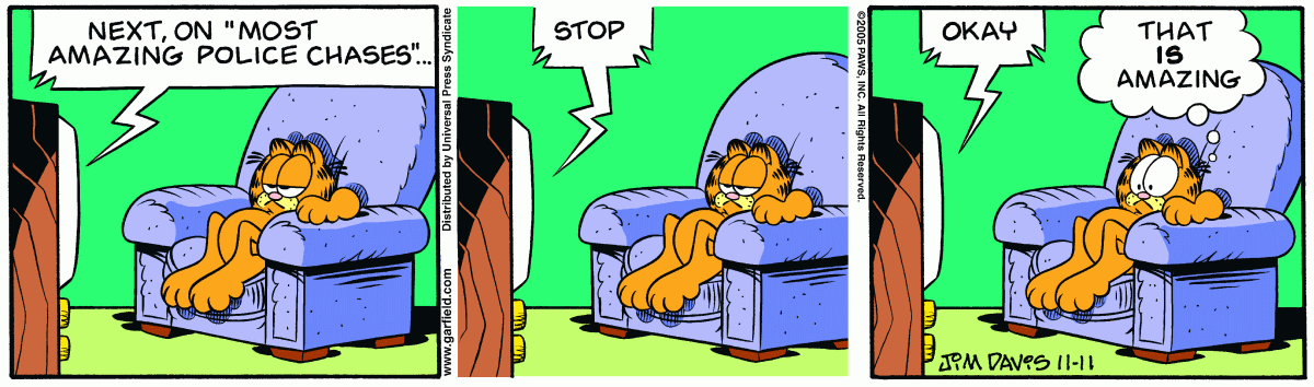 Garfield, November 11, 2005