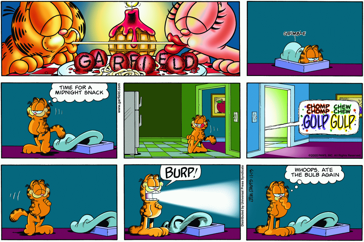 Garfield, November 13, 2005