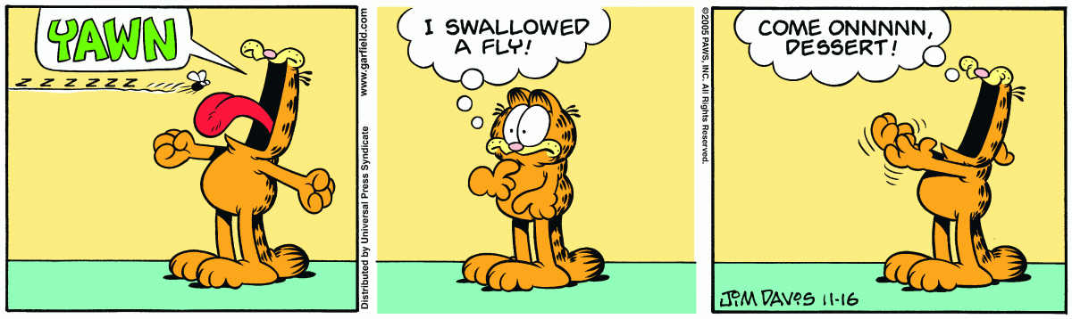 Garfield, November 16, 2005