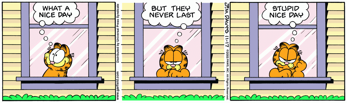 Garfield, November 17, 2005