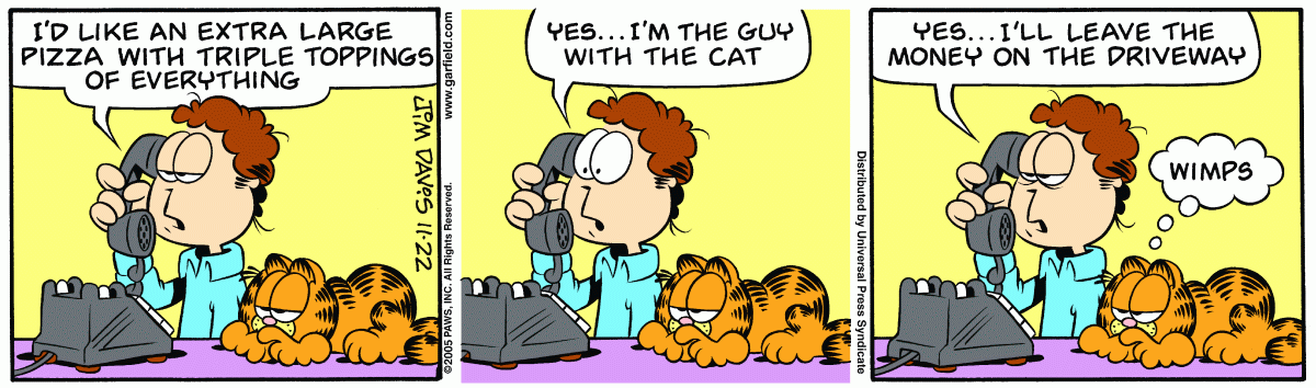 Garfield, November 22, 2005