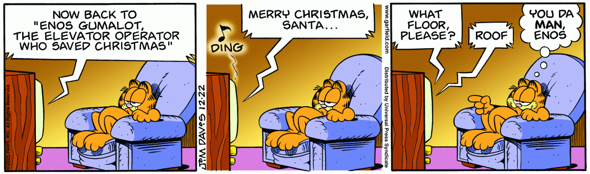 Garfield, December 22, 2005