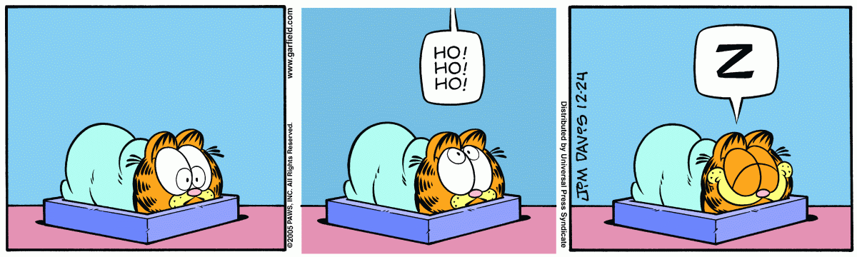 Garfield, December 24, 2005
