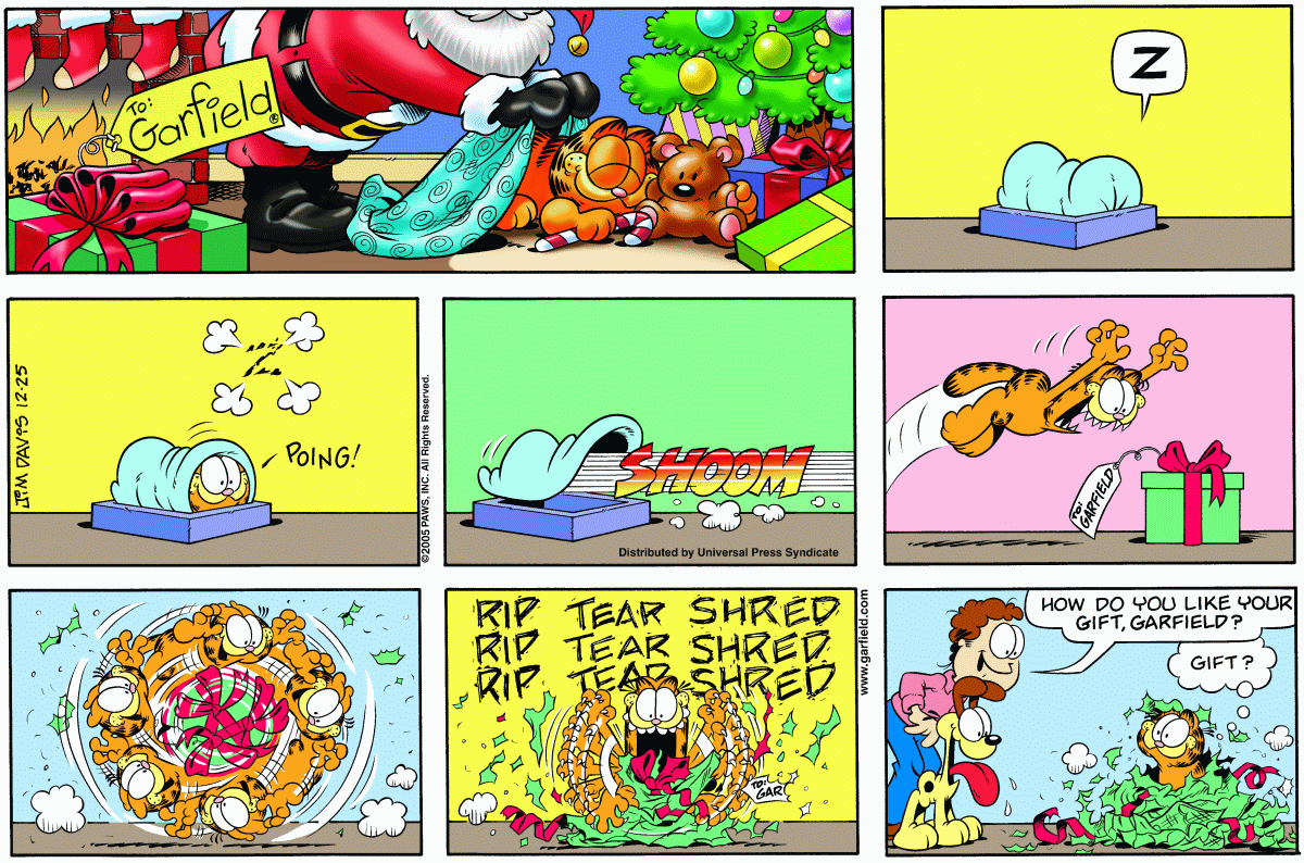 Garfield, December 25, 2005