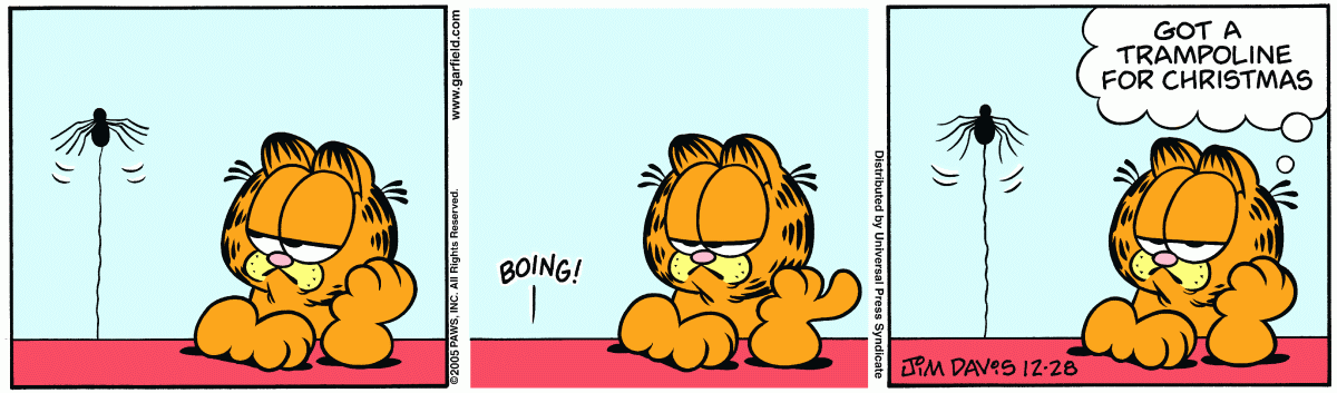 Garfield, December 28, 2005