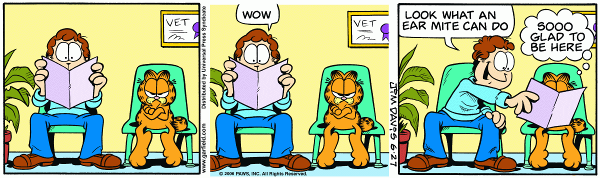Garfield, June 27, 2006