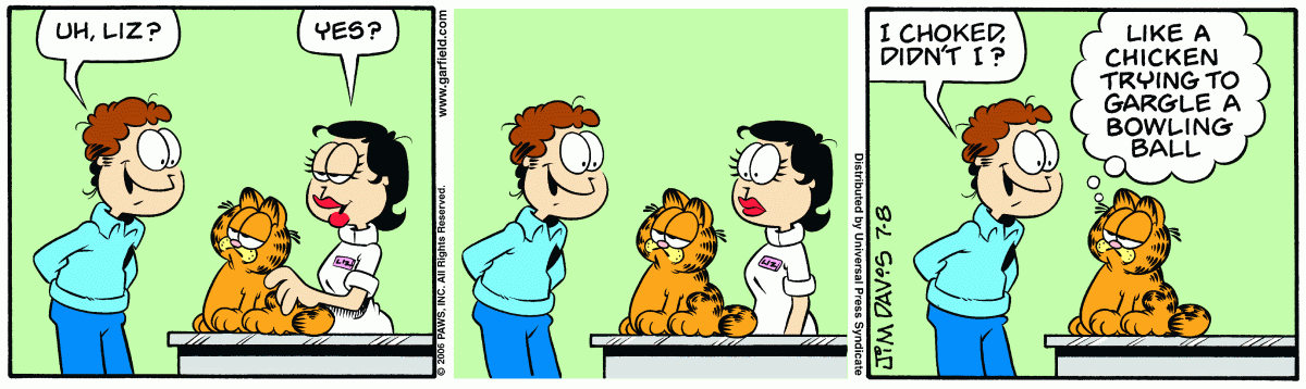 Garfield, July 8, 2006