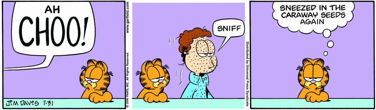 Garfield, July 31, 2006