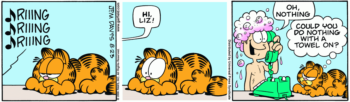 Garfield, August 23, 2006