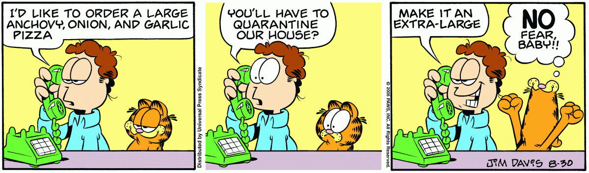Garfield, August 30, 2006