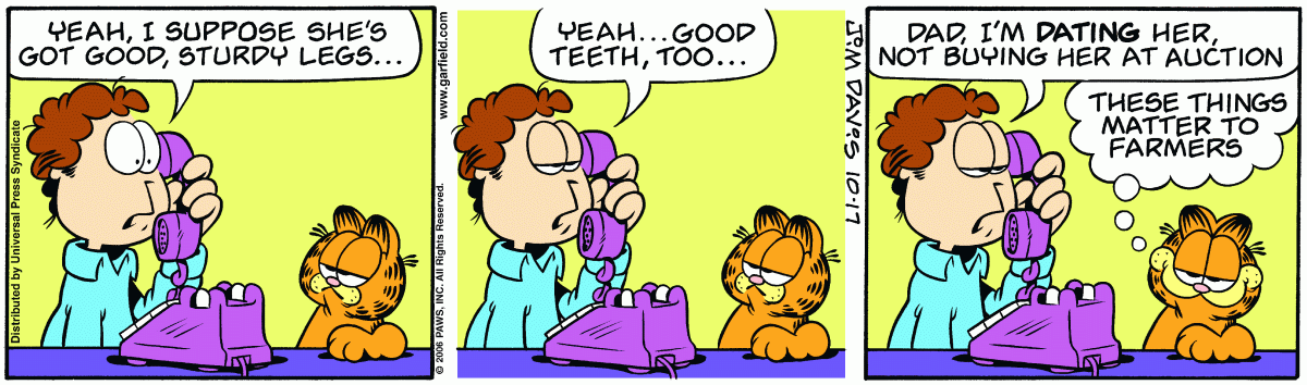 Garfield, October 17, 2006