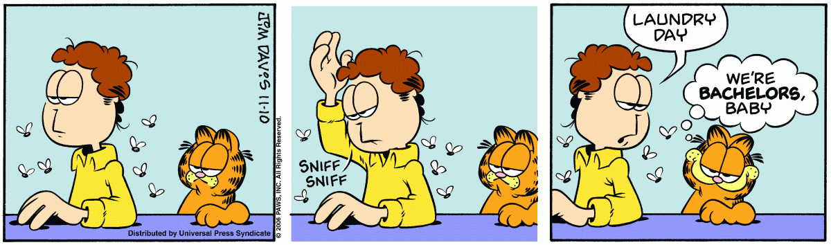 Garfield, November 10, 2006
