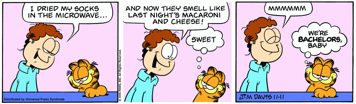 Garfield, November 11, 2006