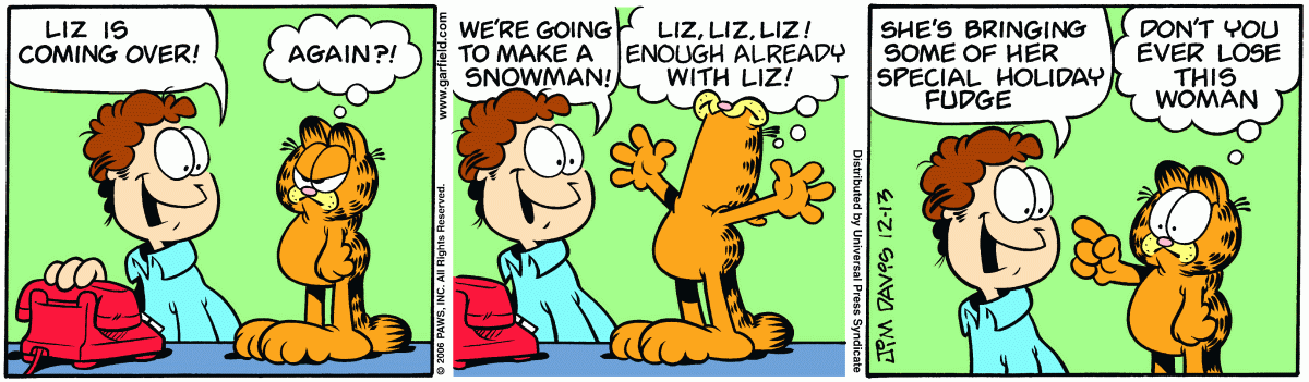 Garfield, December 13, 2006