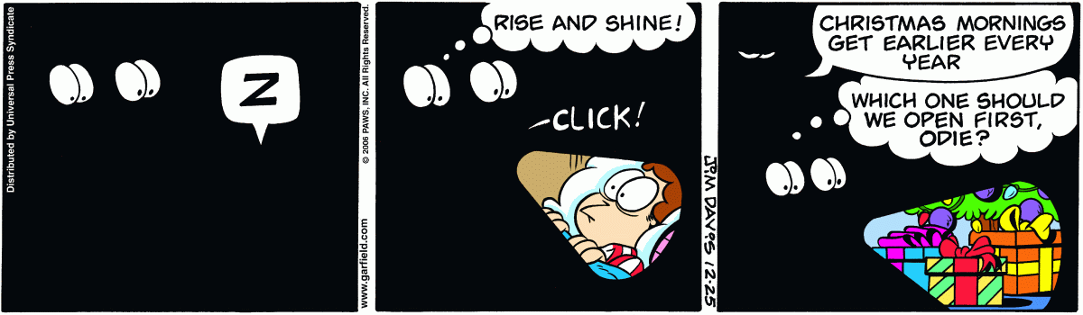 Garfield, December 25, 2006