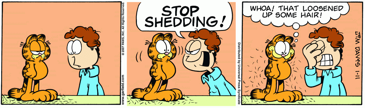 Garfield, January 11, 2007