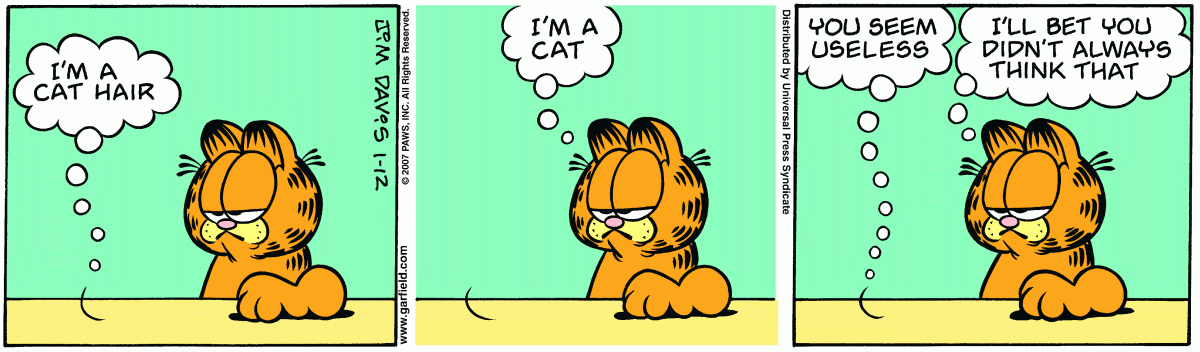 Garfield, January 12, 2007
