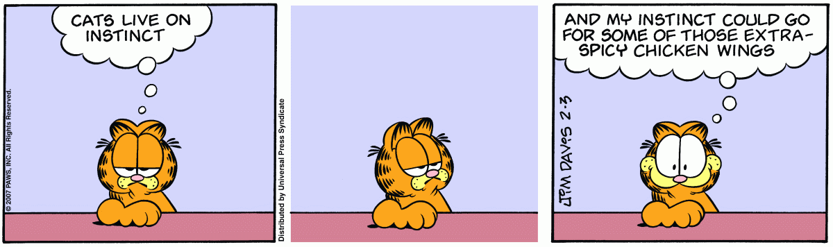 Garfield, February 3, 2007