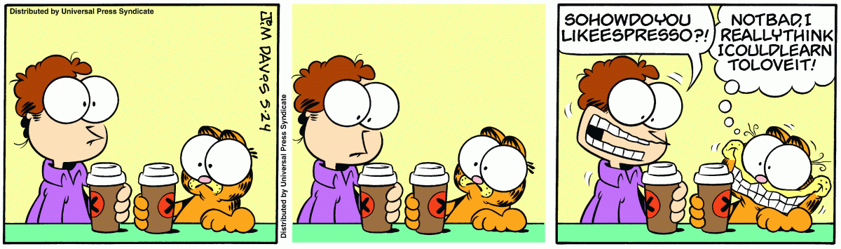 Garfield, May 24, 2007