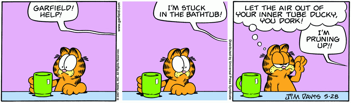 Garfield, May 28, 2007