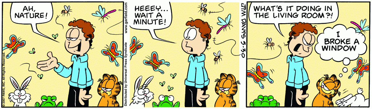 Garfield, May 30, 2007