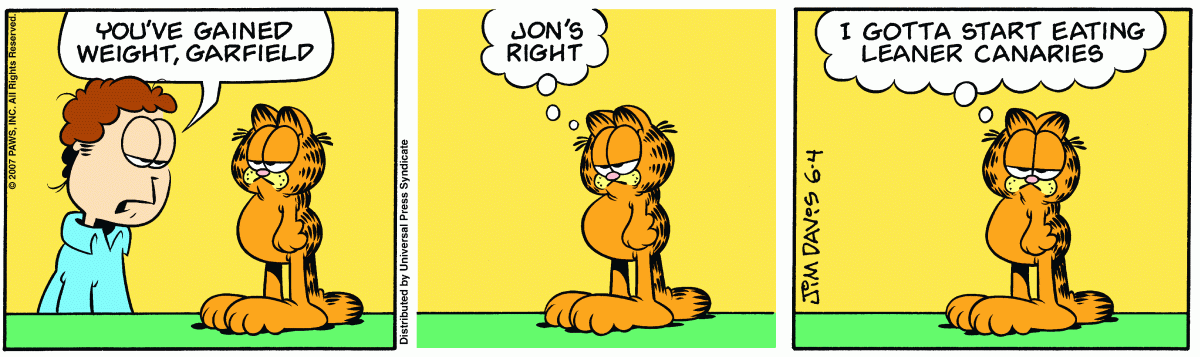 Garfield, June 4, 2007