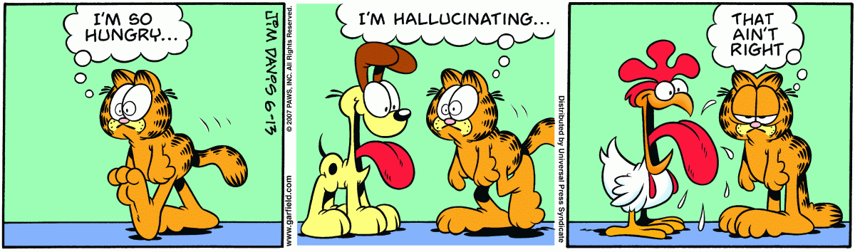Garfield, June 13, 2007