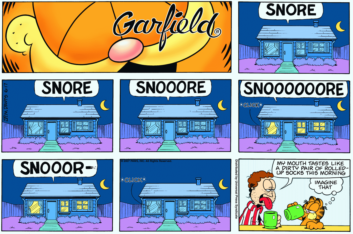 Garfield, June 17, 2007