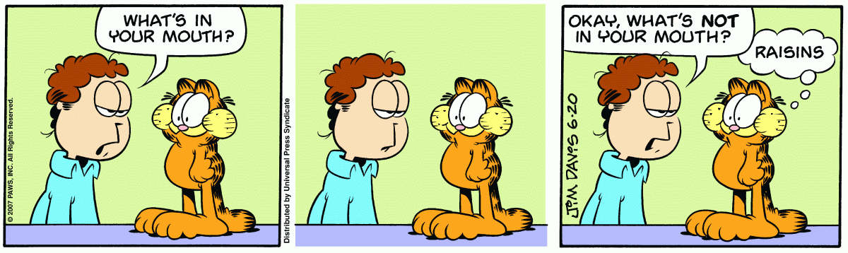 Garfield, June 20, 2007