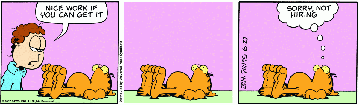 Garfield, June 22, 2007