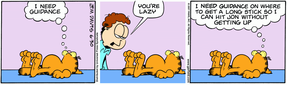 Garfield, June 30, 2007