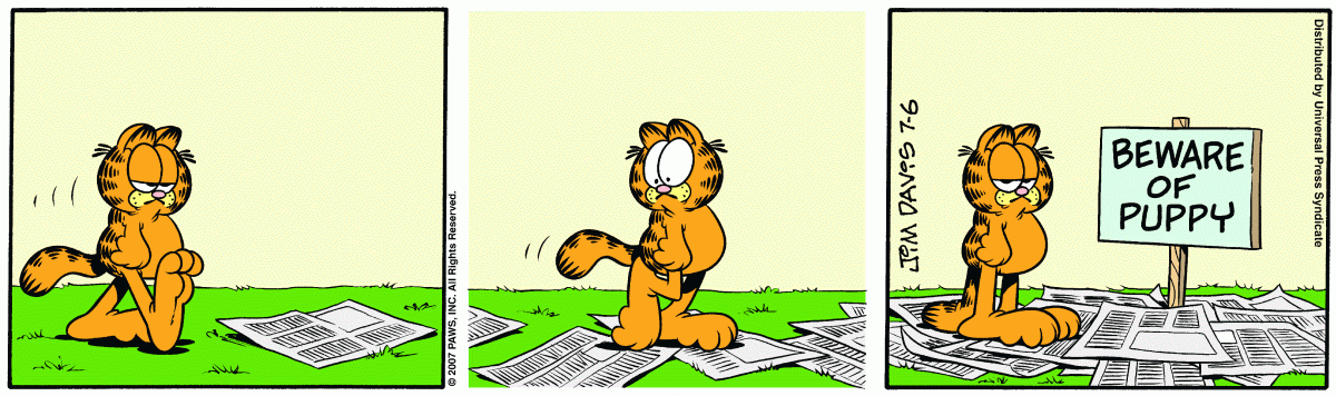 Garfield, July 6, 2007