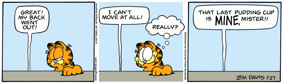 Garfield, July 27, 2007