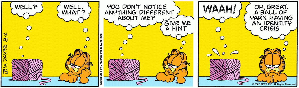 Garfield, August 2, 2007