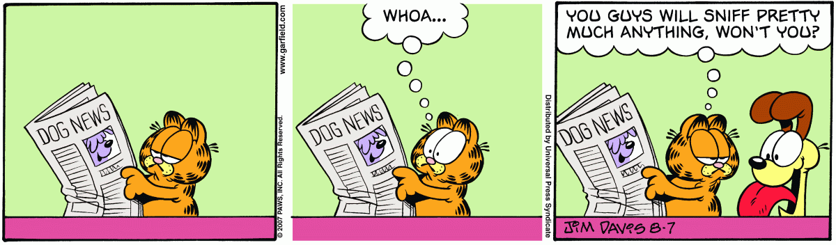 Garfield, August 7, 2007