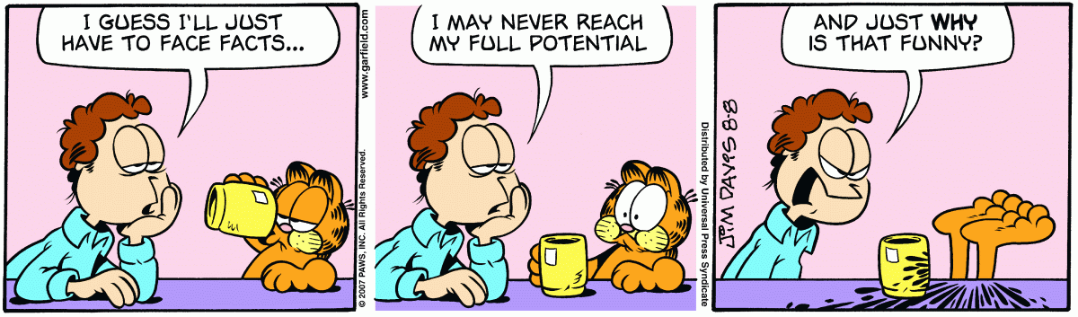 Garfield, August 8, 2007